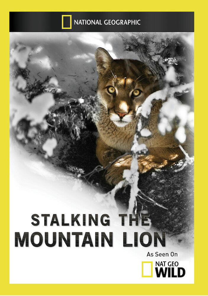 stalking the mountain lion - DVD