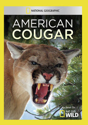 american cougar - DVD
