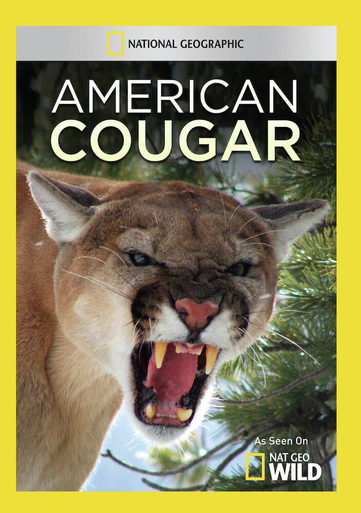 american cougar - DVD