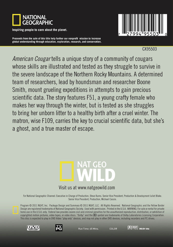 american cougar - Back Panel - DVD