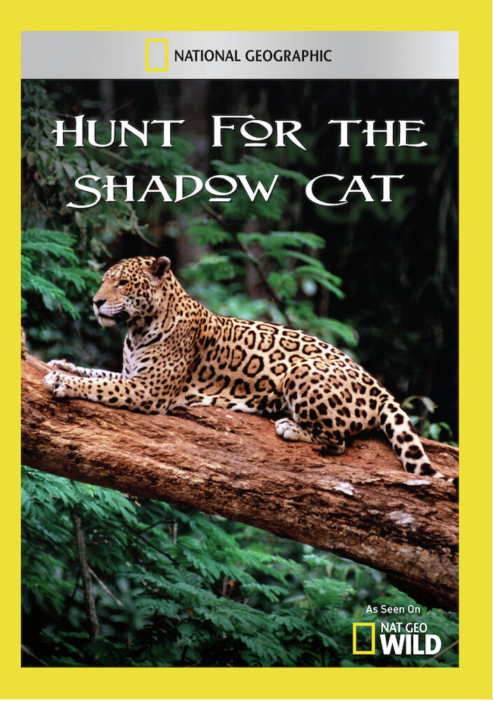 hunt for the shadow cat - DVD