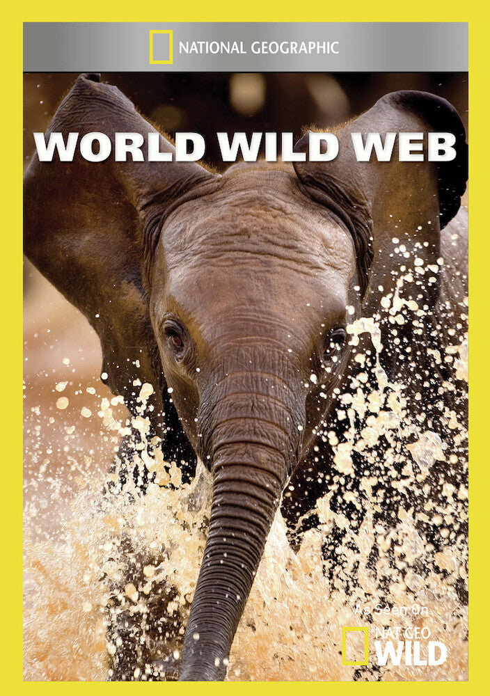 world wild web - DVD