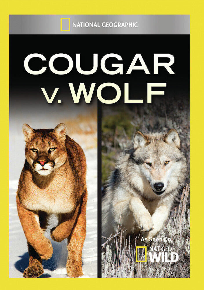 cougar v wolf - DVD