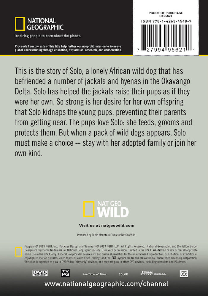 a wild dog's tale - Back Panel - DVD