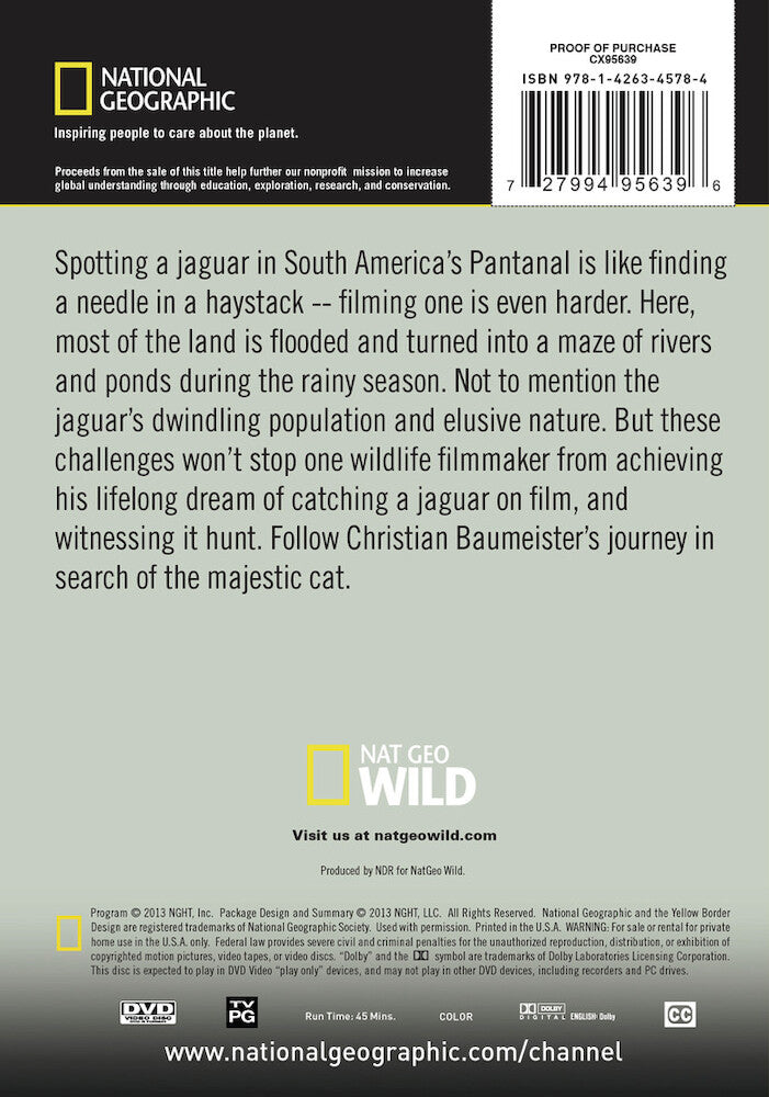 the phantom cat - Back Panel - DVD