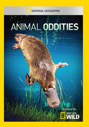 animal oddities - DVD
