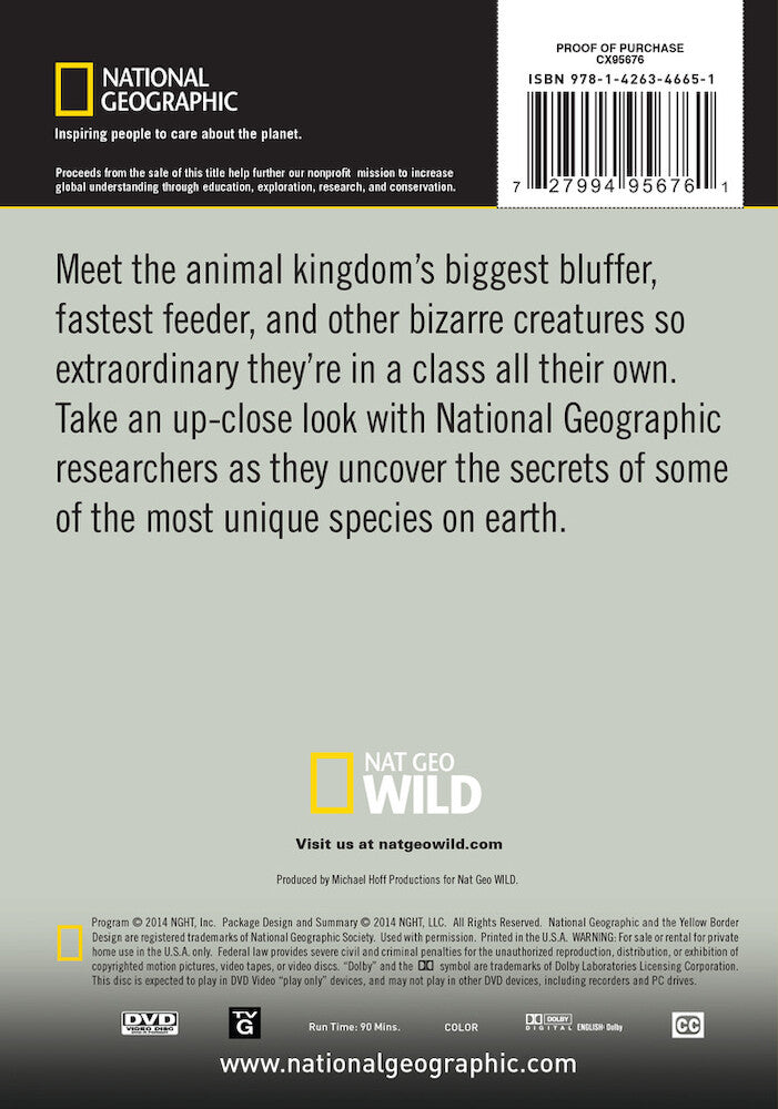 animal oddities - Back Panel - DVD