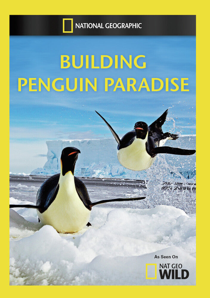 building penguin paradise - DVD