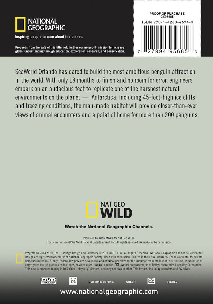 building penguin paradise - Back Panel - DVD