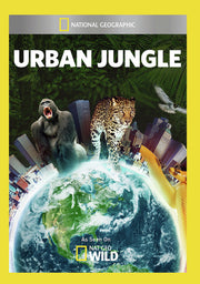 urban jungle - DVD