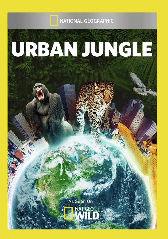 urban jungle - DVD