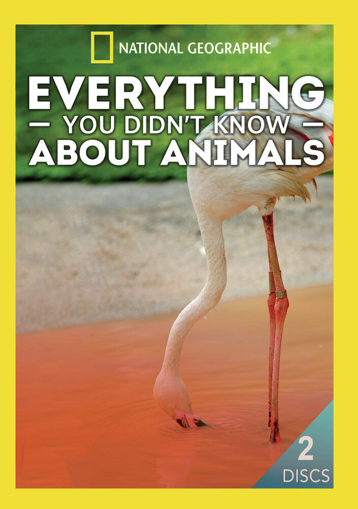 everything you didn't know about animals - DVD