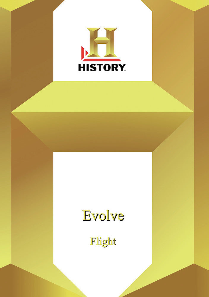 History - Evolve Flight - 