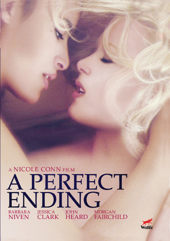 a perfect ending - DVD