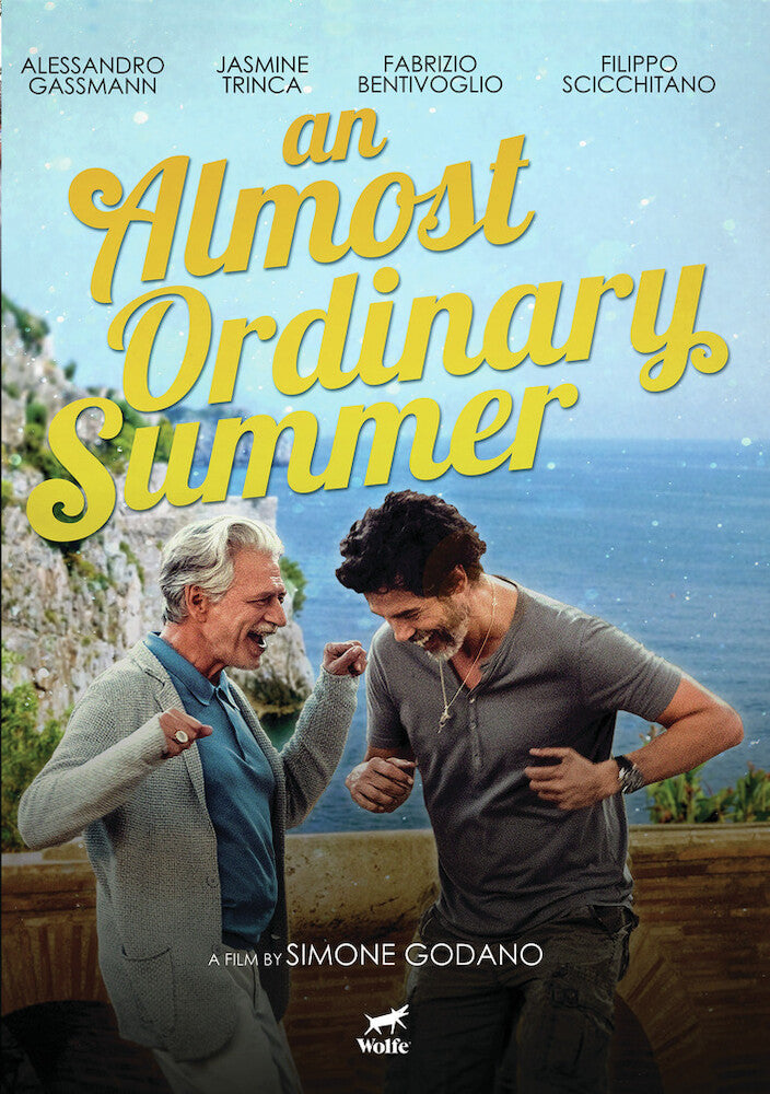 an almost ordinary summer - DVD