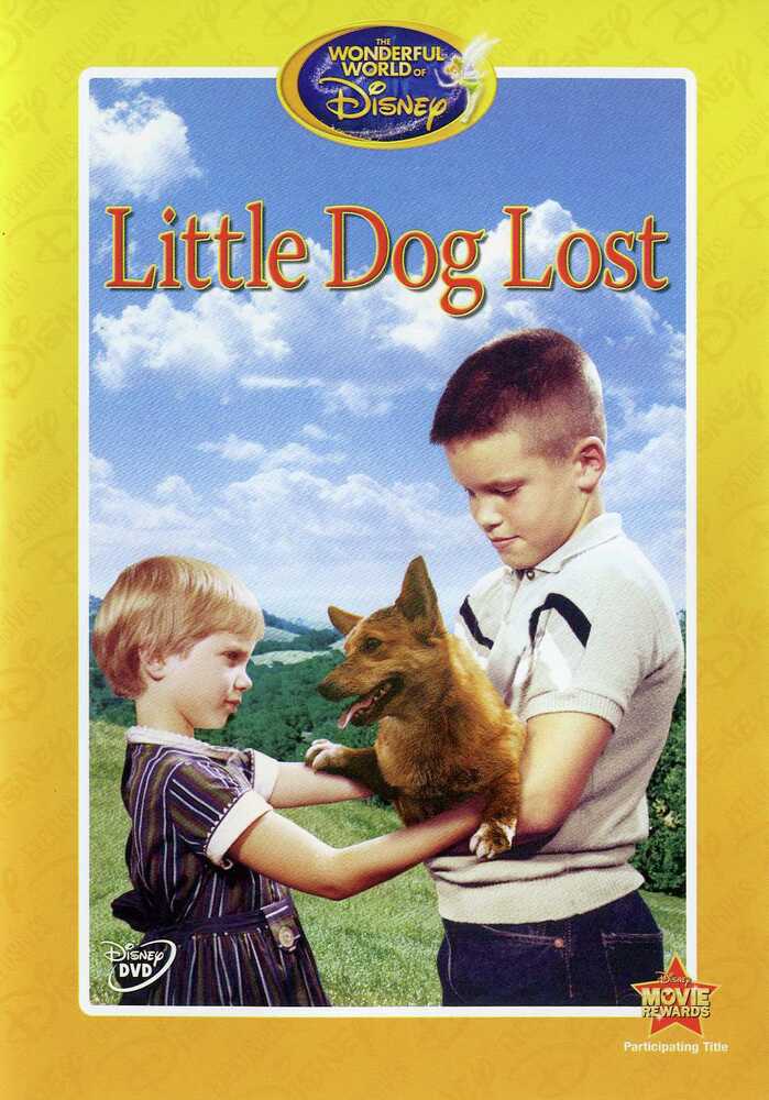 Little Dog Lost - 