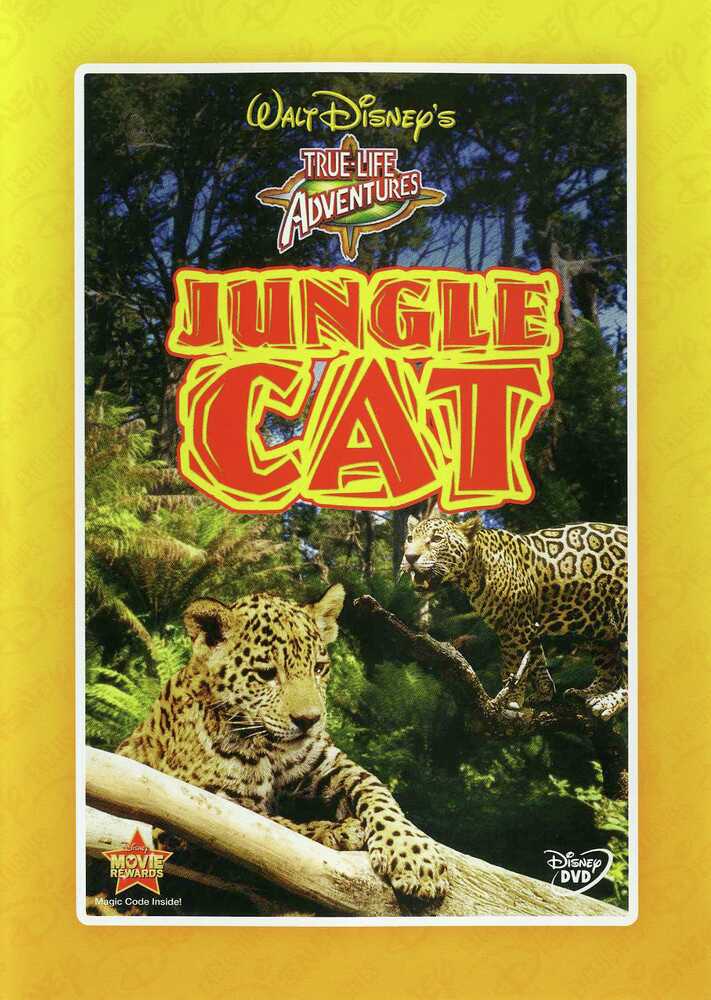 Jungle Cat - 