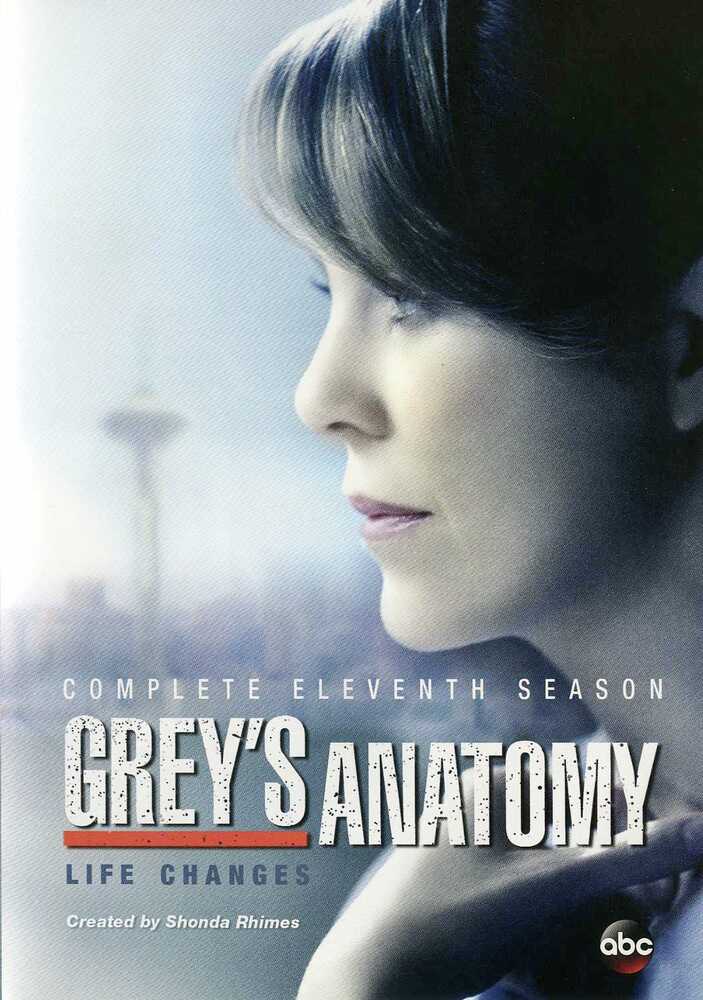 Grey's Anatomy: The Complete Eleventh Season - 