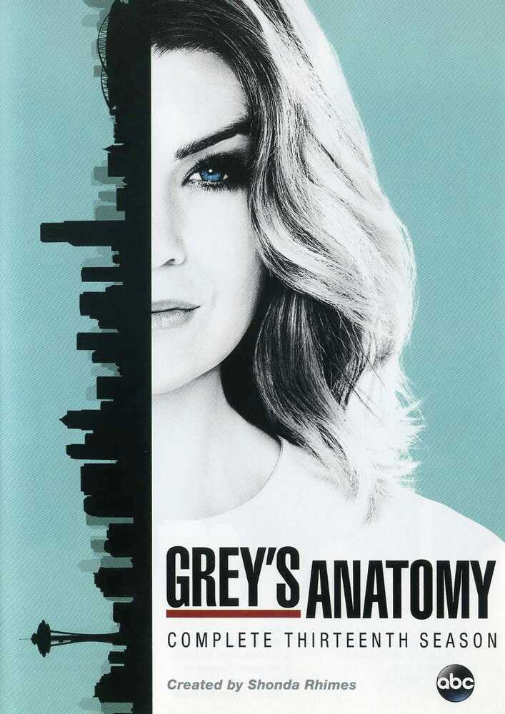 Grey's Anatomy: The Complete Thirteenth Season - 