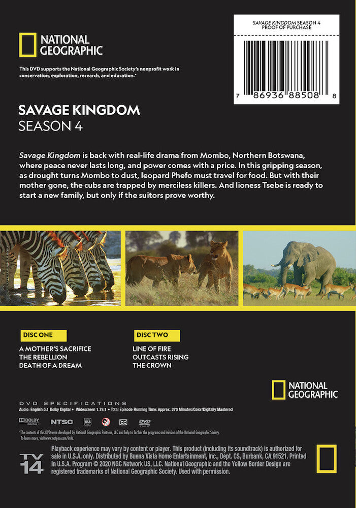savage kingdom season 4 - Back Panel - DVD