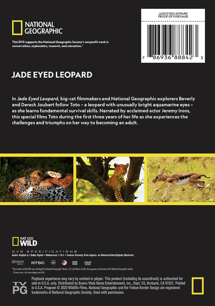 jade eyed leopard - Back Panel - DVD
