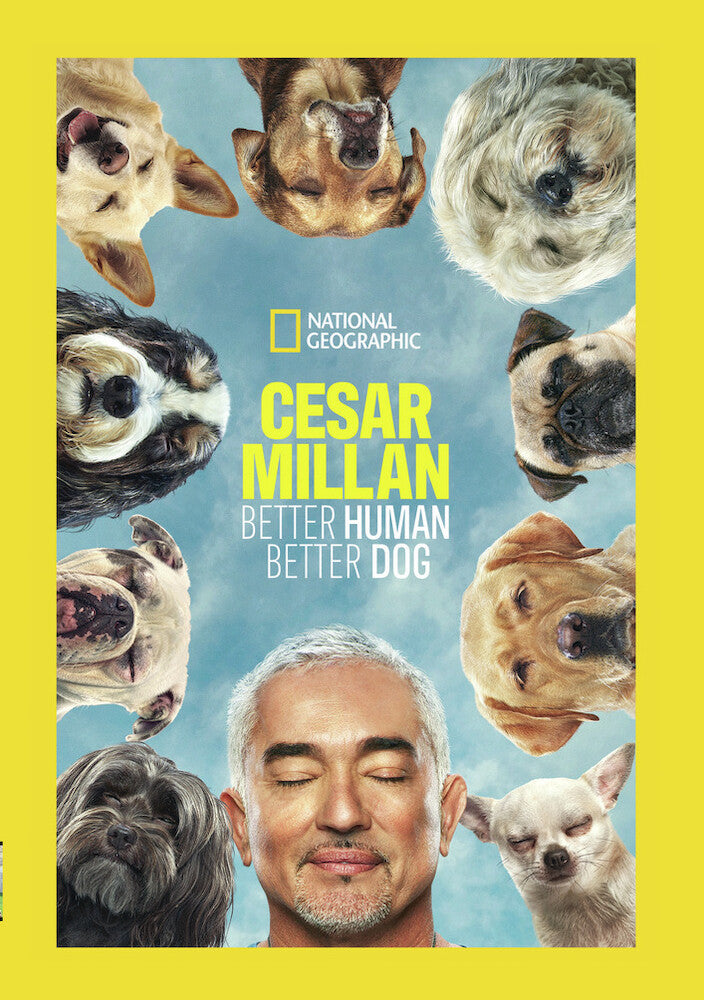 cesar milan: better human better dog - DVD