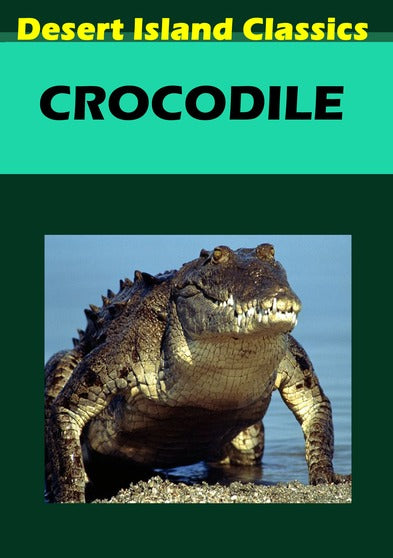 Crocodile - 