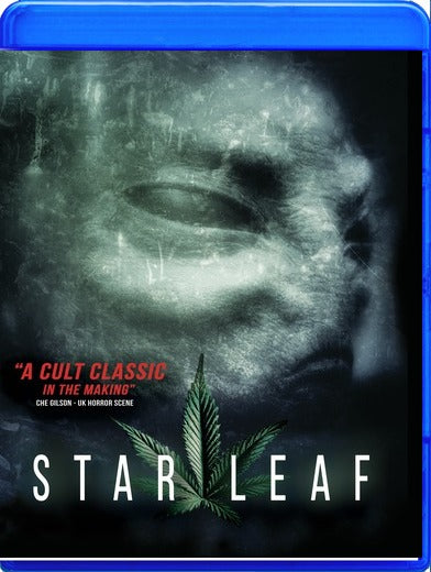 Star Leaf - 
