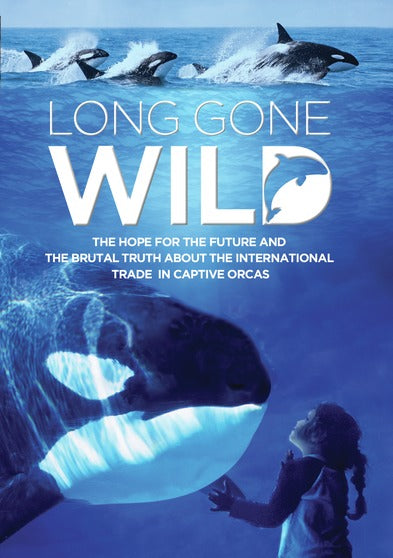 Long Gone Wild - 