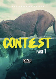 Contest 1 - 