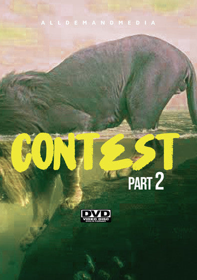 Contest 2 - 