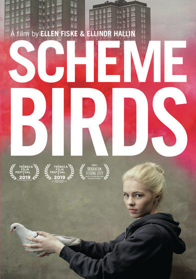 Scheme Birds - 