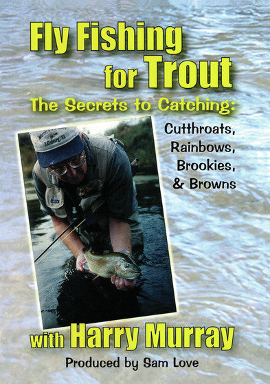 FlyFishing For Trout - 