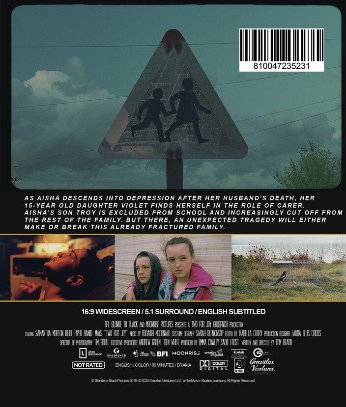 two for joy - Back Panel - Blu-ray