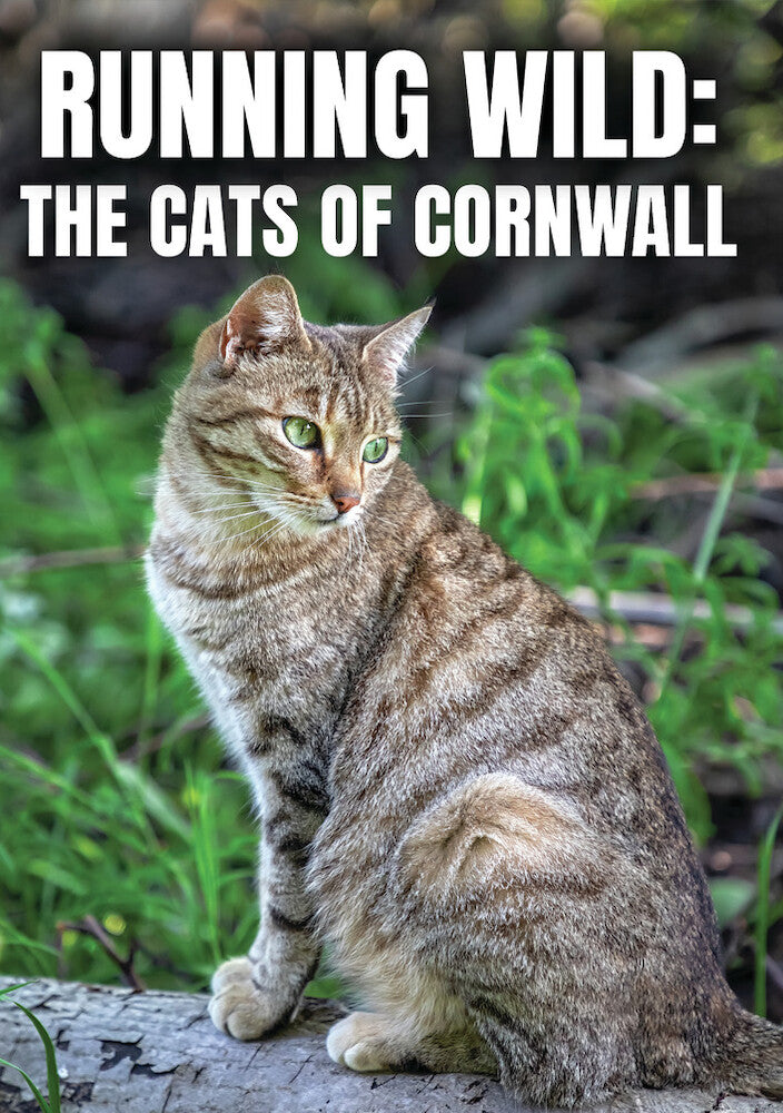 Running Wild: The Cats of Cornwall - 