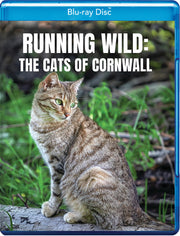 Running Wild: The Cats of Cornwall - 