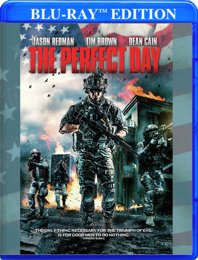 The Perfect Day - 