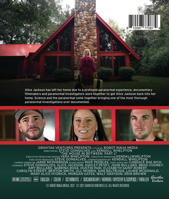 The House in Between Pt. 2 - Back Panel - 