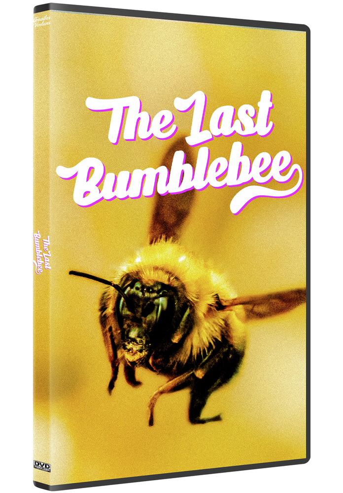 The Last Bumblebee - 