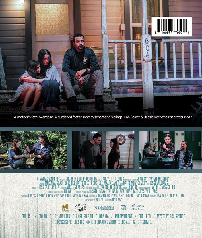 what we hide - Back Panel - Blu-ray