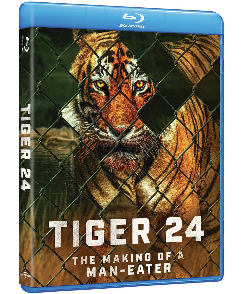 Tiger 24 - 
