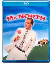 Mr. North - 