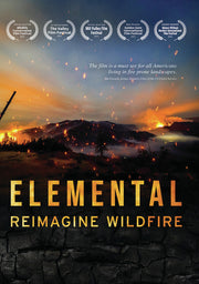 Elemental: Reimagine Wildfire - 