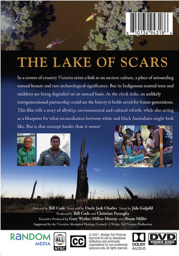 the lake of scars - Back Panel - DVD