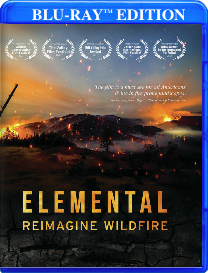 Elemental: Reimagine Wildfire - 