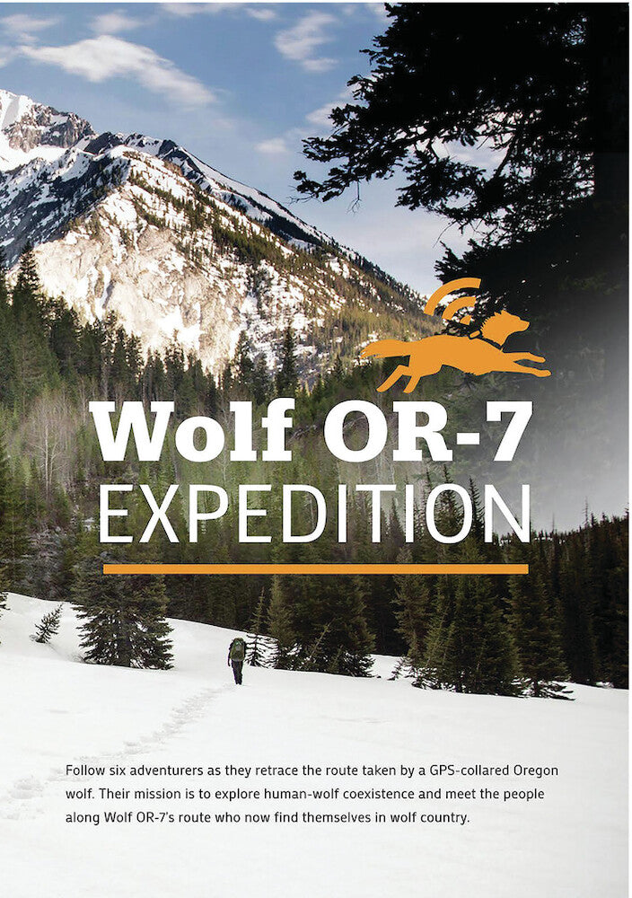 The Wolf OR-7 Expedition - 