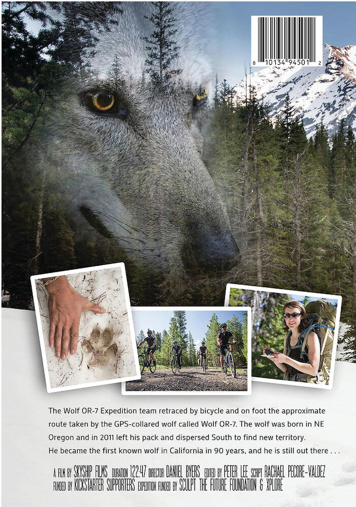 The Wolf OR-7 Expedition - Back Panel - 