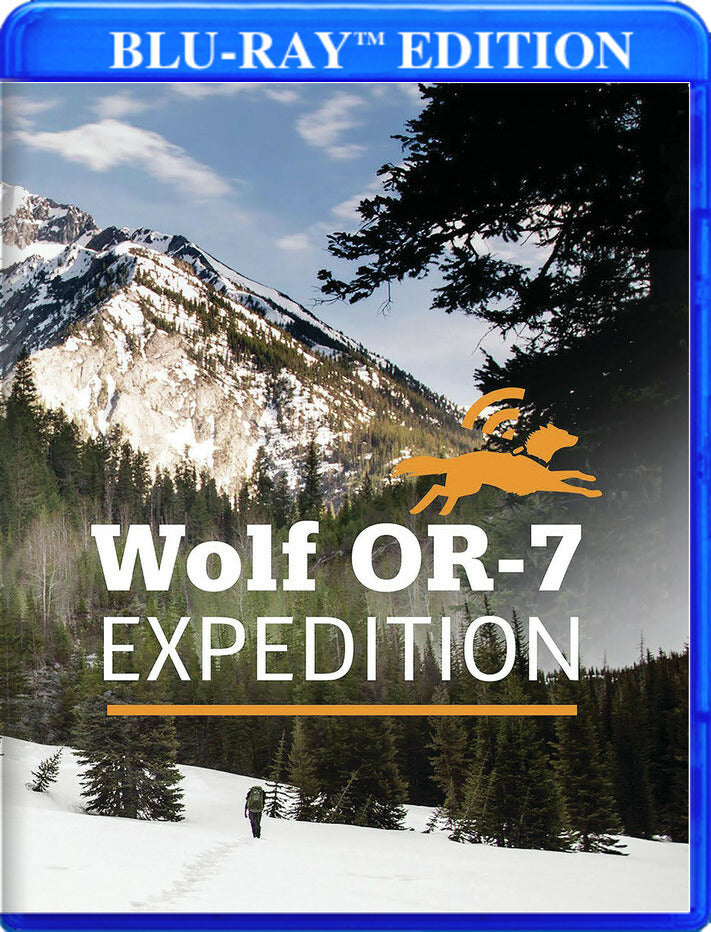 The Wolf OR-7 Expedition - 