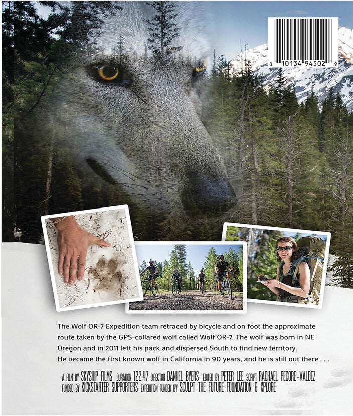 The Wolf OR-7 Expedition - Back Panel - 