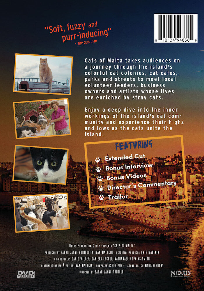 Cats of Malta - Back Panel - 